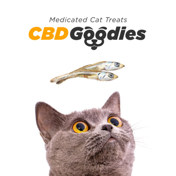 CBD Goodies, Cat Treats