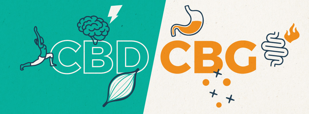 CBG & CBD. What are the differences?